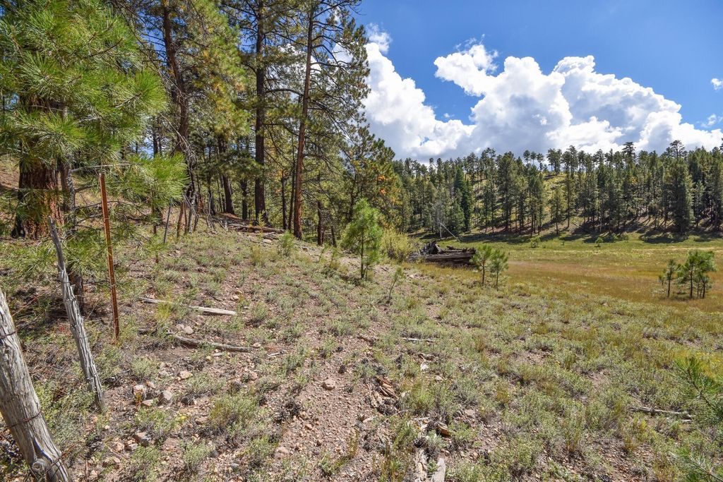 Image 46 of property listing at 27.5 Acres Jemez Mountain Forest Rd 10, Jemez Springs, NM 87025