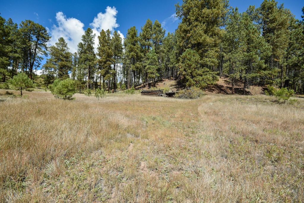 Image 47 of property listing at 27.5 Acres Jemez Mountain Forest Rd 10, Jemez Springs, NM 87025