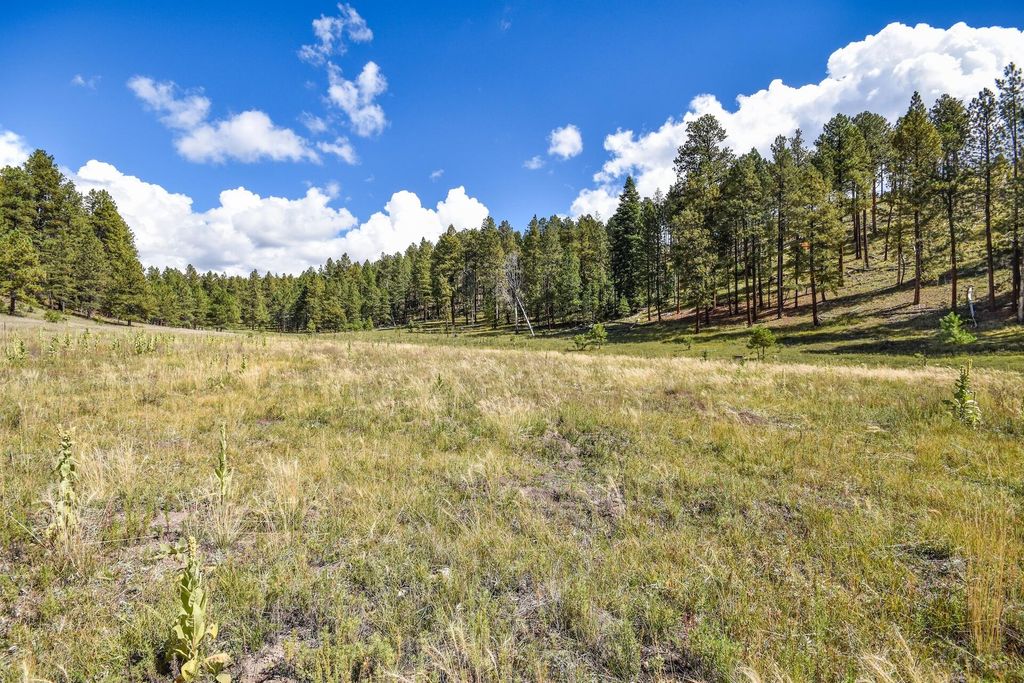Image 48 of property listing at 27.5 Acres Jemez Mountain Forest Rd 10, Jemez Springs, NM 87025