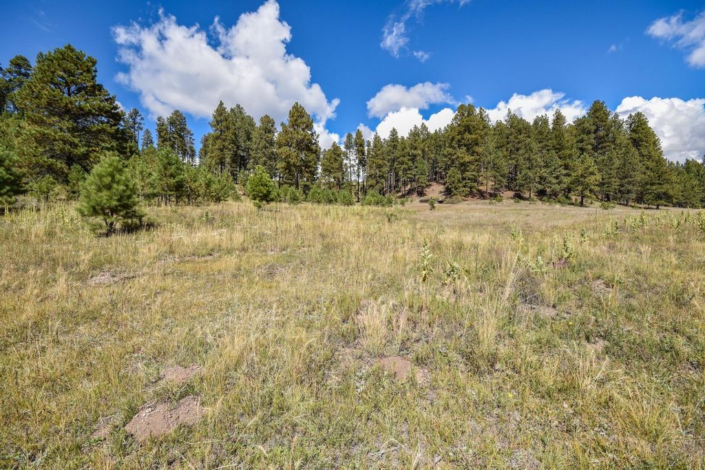 Image 50 of property listing at 27.5 Acres Jemez Mountain Forest Rd 10, Jemez Springs, NM 87025