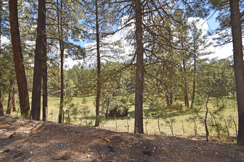 Image 51 of property listing at 27.5 Acres Jemez Mountain Forest Rd 10, Jemez Springs, NM 87025
