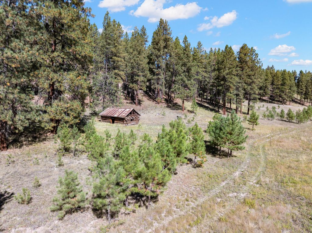 Image 52 of property listing at 27.5 Acres Jemez Mountain Forest Rd 10, Jemez Springs, NM 87025