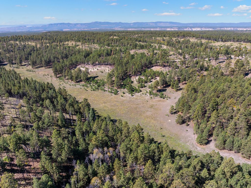 Image 53 of property listing at 27.5 Acres Jemez Mountain Forest Rd 10, Jemez Springs, NM 87025
