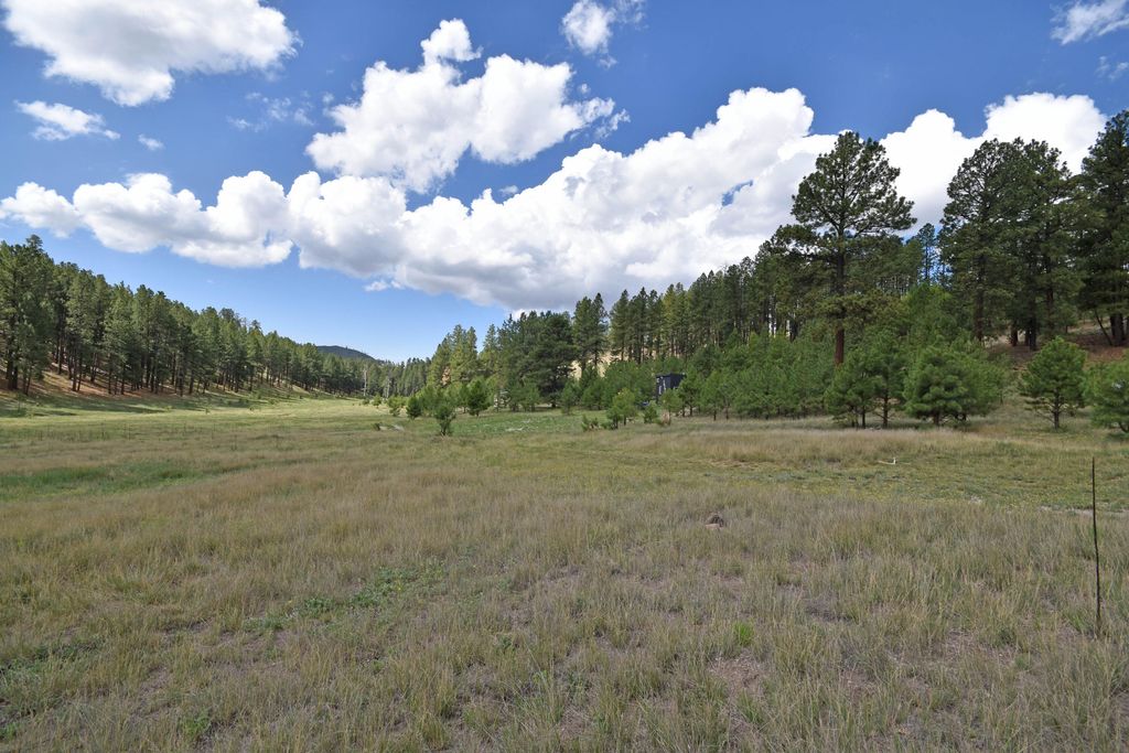 Image 55 of property listing at 27.5 Acres Jemez Mountain Forest Rd 10, Jemez Springs, NM 87025