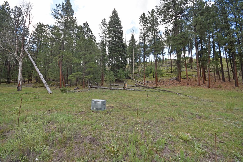 Image 56 of property listing at 27.5 Acres Jemez Mountain Forest Rd 10, Jemez Springs, NM 87025