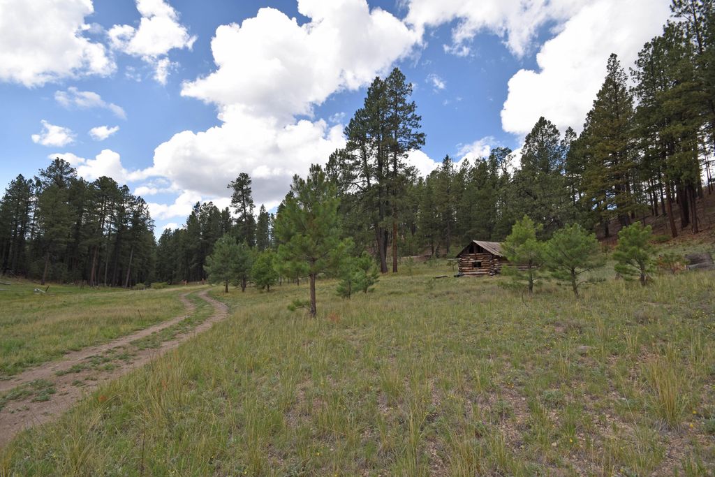 Image 58 of property listing at 27.5 Acres Jemez Mountain Forest Rd 10, Jemez Springs, NM 87025