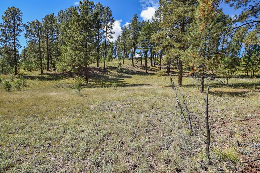 Image 6 of property listing at 27.5 Acres Jemez Mountain Forest Rd 10, Jemez Springs, NM 87025