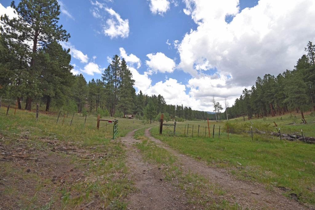 Image 60 of property listing at 27.5 Acres Jemez Mountain Forest Rd 10, Jemez Springs, NM 87025