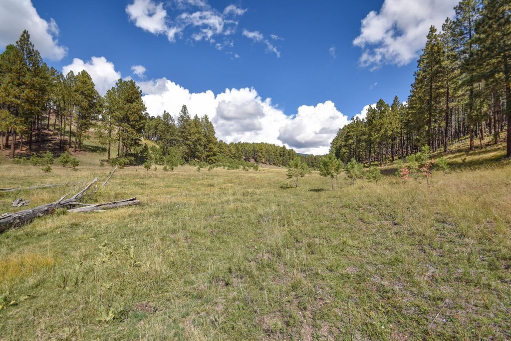 Image 7 of property listing at 27.5 Acres Jemez Mountain Forest Rd 10, Jemez Springs, NM 87025