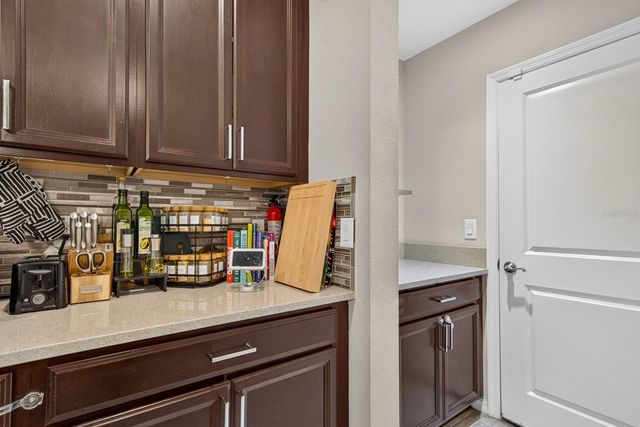 6717 CITRUS CREEK LANE, Tampa, FL 33625