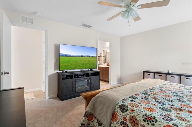 12067 CALLICARPA LANE, Leesburg, FL 34788