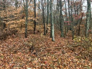 5 Timber Ridge, Kimball, TN 37347