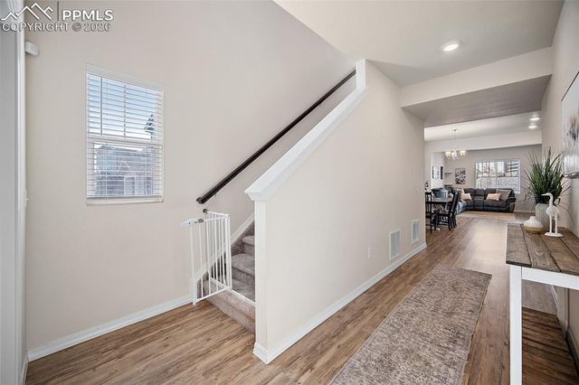 4662 High Springs Court, Colorado Springs, CO 80917