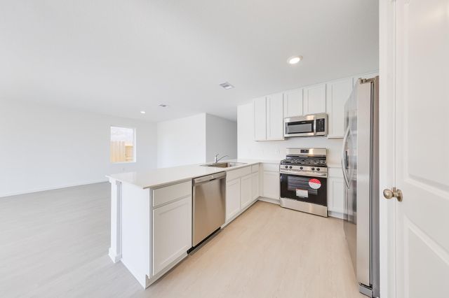 29043 Pearl Barley Way, Hockley, TX 77447