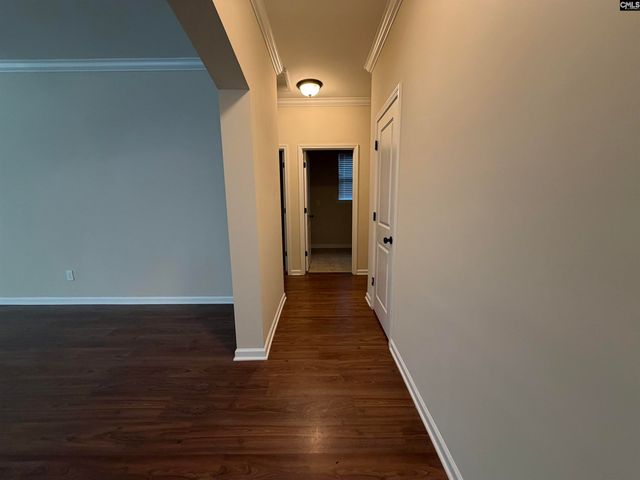 736 Kimsey Drive, Chapin, SC 29036