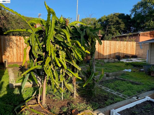 3264 Kansas, Oakland, CA 94602