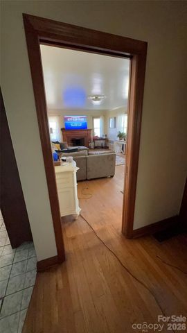 1582 Dutch Cove Road, Canton, NC 28716