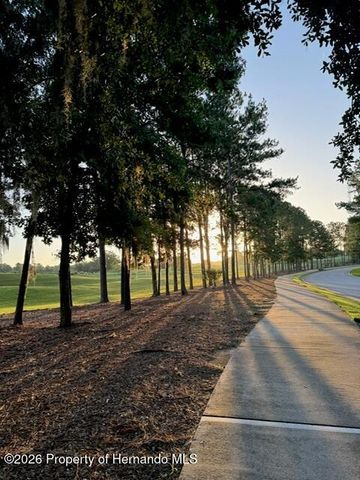 4586 Hickory Oak Drive, Brooksville, FL 34601