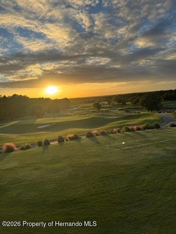 4586 Hickory Oak Drive, Brooksville, FL 34601