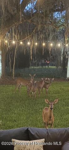 4586 Hickory Oak Drive, Brooksville, FL 34601