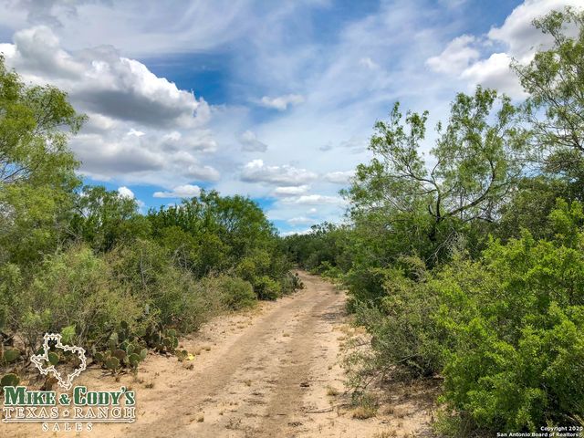 1180 CR 340, Jourdanton, TX 78026