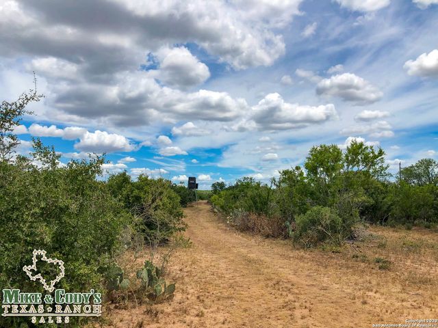 1180 CR 340, Jourdanton, TX 78026