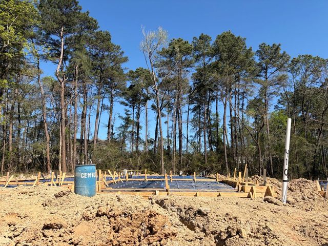 410 Elf Owl Court, Willis, TX 77318