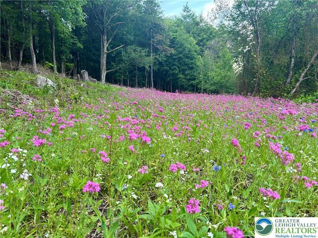 1153 Lower Smith Gap Road, Eldred Twp, PA 18058