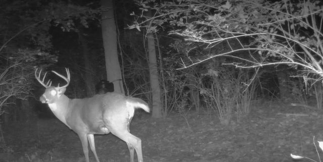 10590 Riddles Run Road, Union, KY 41091