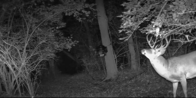 10590 Riddles Run Road, Union, KY 41091