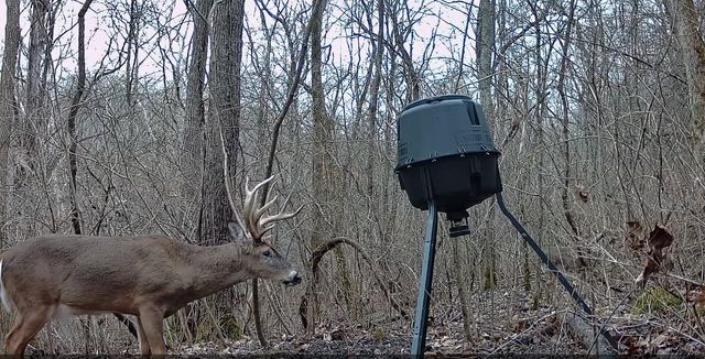 10590 Riddles Run Road, Union, KY 41091