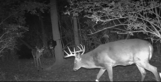 10590 Riddles Run Road, Union, KY 41091