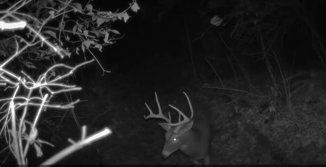 10590 Riddles Run Road, Union, KY 41091