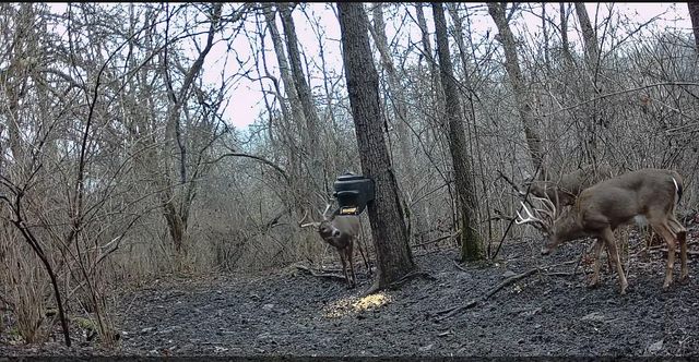 10590 Riddles Run Road, Union, KY 41091