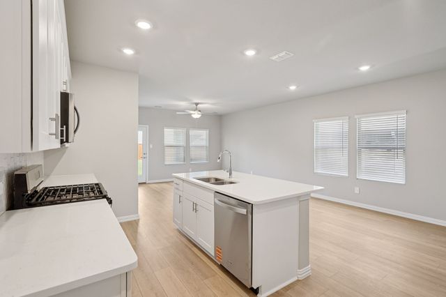 1217 Bridgewalk Drive, Princeton, TX 75071