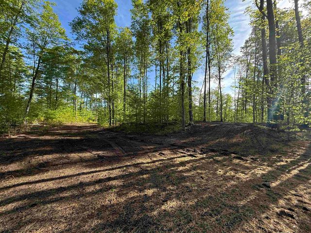 1371 E Solaris Way, Kasson Twp, MI 49664