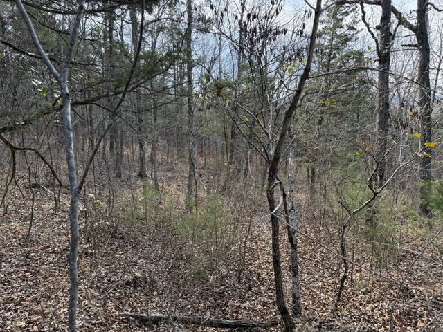 0 Riverview Rd, Clifton, TN 38425