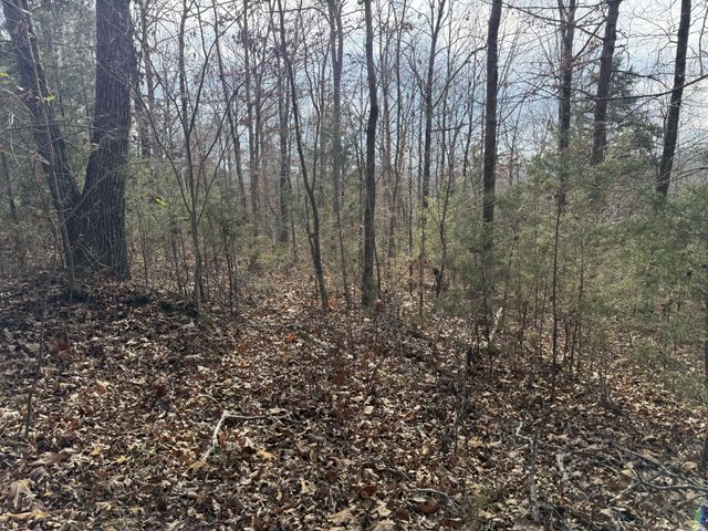 0 Riverview Rd, Clifton, TN 38425