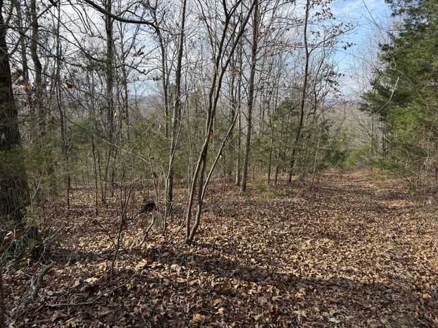 0 Riverview Rd, Clifton, TN 38425