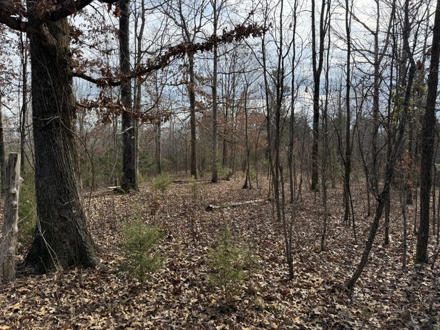 0 Riverview Rd, Clifton, TN 38425