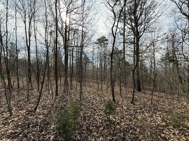 0 Riverview Rd, Clifton, TN 38425