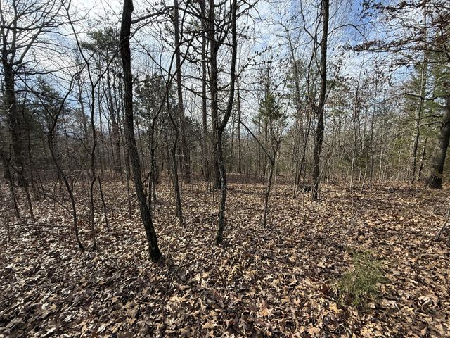 0 Riverview Rd, Clifton, TN 38425