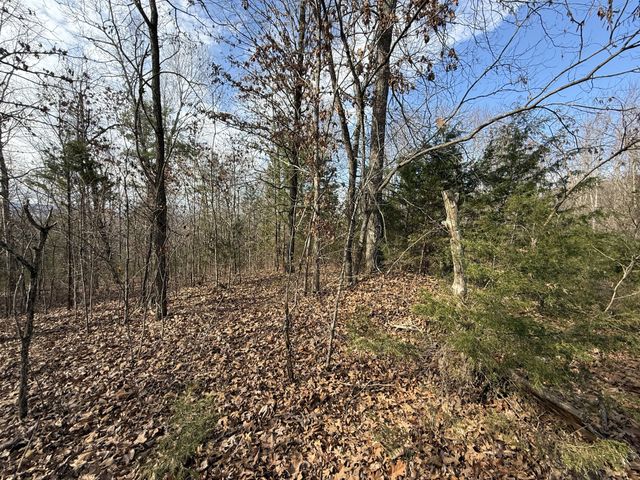 0 Riverview Rd, Clifton, TN 38425