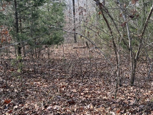 0 Riverview Rd, Clifton, TN 38425