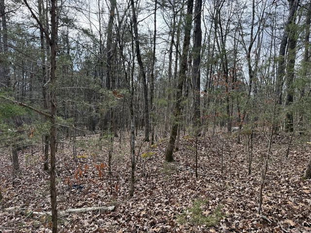 0 Riverview Rd, Clifton, TN 38425