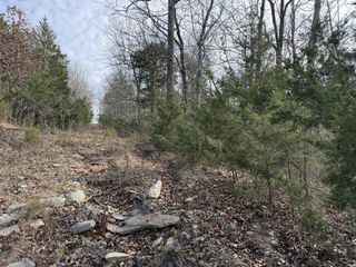 0 Riverview Rd, Clifton, TN 38425