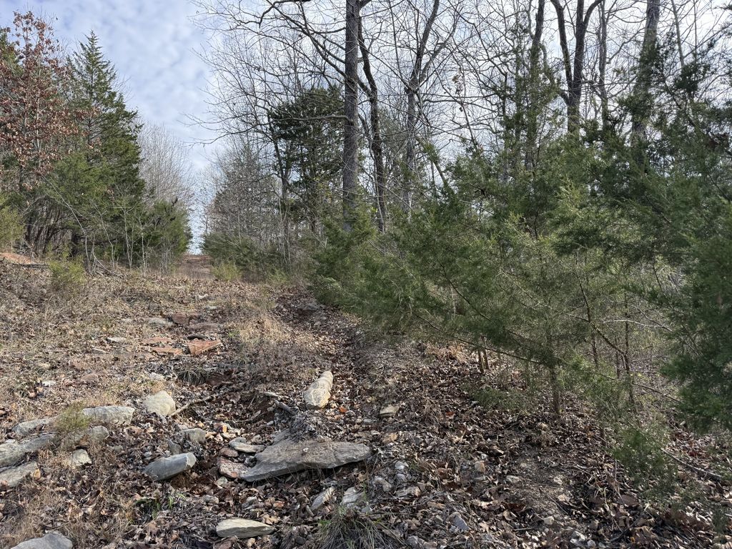 0 Riverview Rd, Clifton, TN 38425