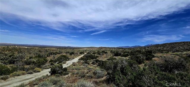 8900 Bainard Canyon Road, Littlerock, CA 93550
