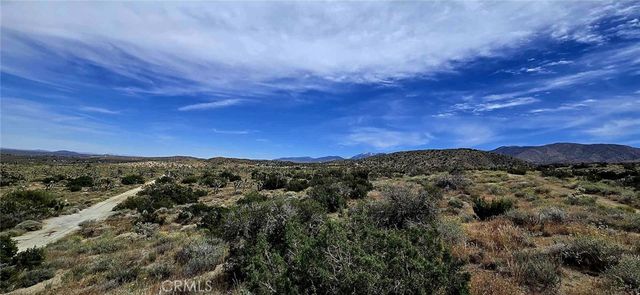 8900 Bainard Canyon Road, Littlerock, CA 93550