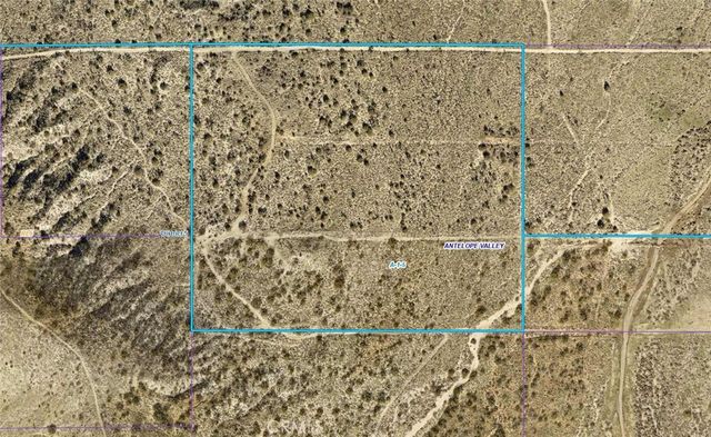 8900 Bainard Canyon Road, Littlerock, CA 93550